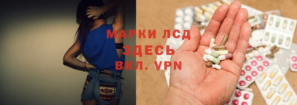 прущие грибы Саяногорск