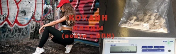 прущие грибы Саяногорск