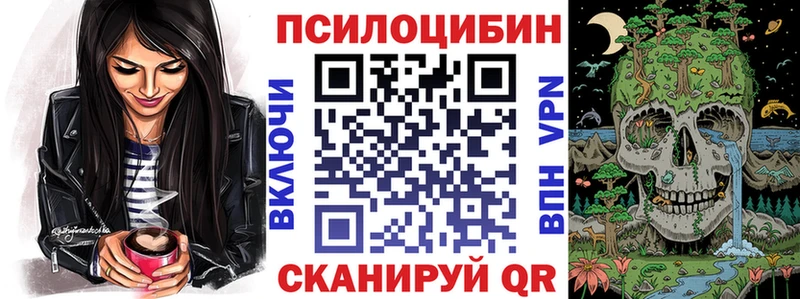 Купить  Власиха  Псилоцибиновые грибы Cubensis 